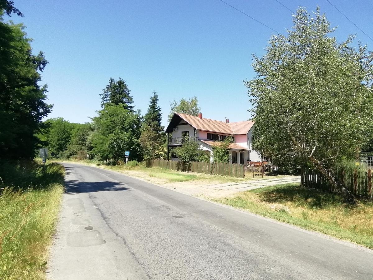 Waldhaus Pat Apartment Galambok Екстериор снимка